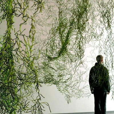 Algues - VItra