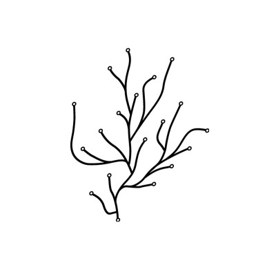 Algues - VItra