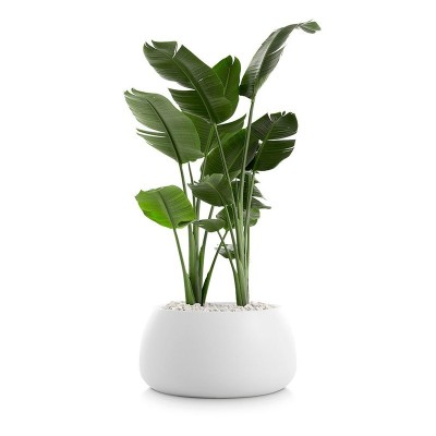 Gobi 3 Diabla OutdoorPlanter Gobi 3 Diabla OutdoorPlanter