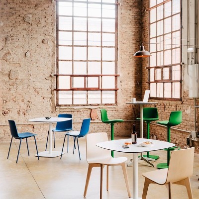 Lottus chair design Enea Lottus chair design Enea