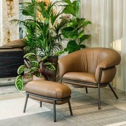 Butaca Grasso de BD Barcelona en Moises Showroom Butaca Grasso de BD Barcelona en Moises Showroom