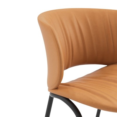 Viccarbe Silla Funda