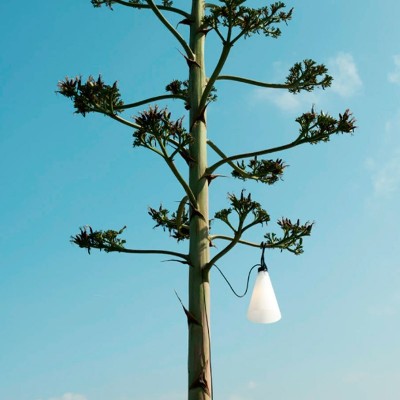 Lámpara Mayday colgada de árbol de Flos Lámpara Mayday colgada de árbol de Flos