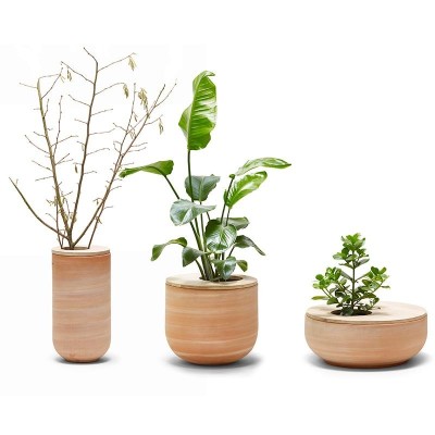 Maceteros Lur colección Alki con planta Maceteros Lur colección Alki con planta